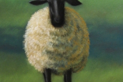 Solo Sheep