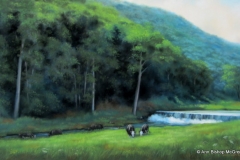 Scheck