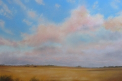 Prairie Sky