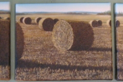 Round Bales Triptych