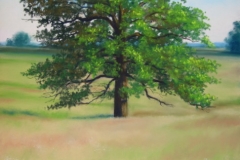 Oak