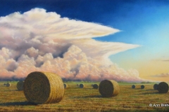 Stormy Bales