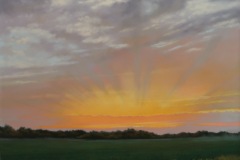 Young-Corn-Sunset