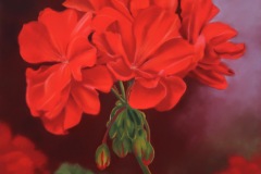 Geranium